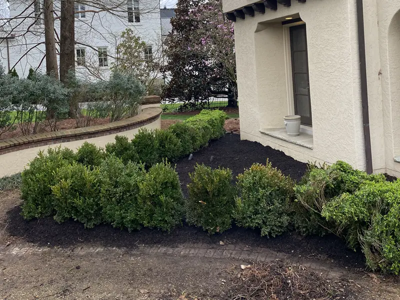 landscaping care and clean up by Turf Tailors Lawn and Landscaping in Middle Tennessee