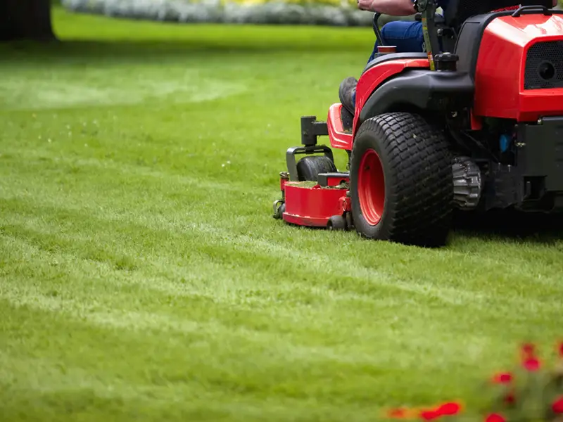 red riding lawn mower cutting grass on a beautifully kept lawn